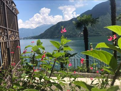 2 Topchalets aan het meer van Lugano 