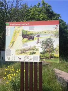 Stacaravan (6 pers) aan zee camping De Watersnip in Petten (NH) incl. gebruik fietsen