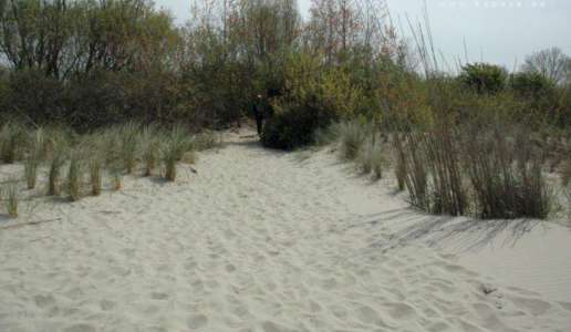 Camping Beach Resort,Kamperland 4 pers.Week€500,-